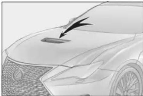 LEXUS RC F (2024) - Hood vent - 1