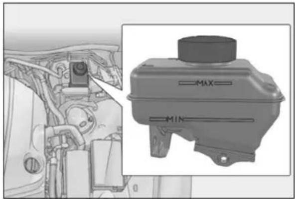 LEXUS RC F (2024) - - Checking fluid level - 1
