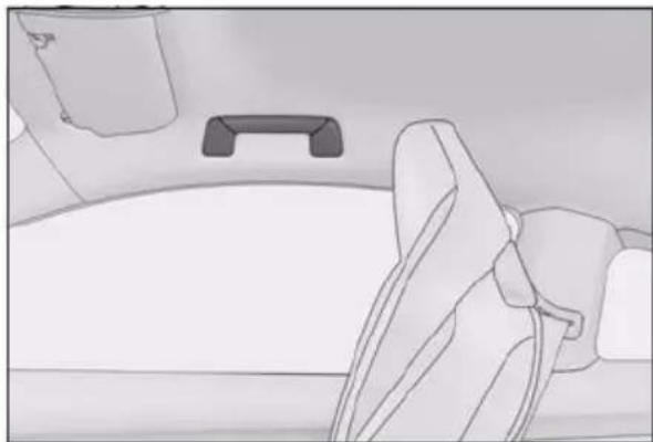 LEXUS RC F (2024) - Assist grips - 1