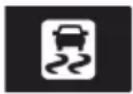 LEXUS RC F (2024) - Slip indicator - 1