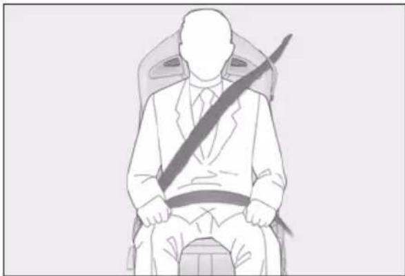 LEXUS RC F (2024) - Correct use of the seat belts - 1