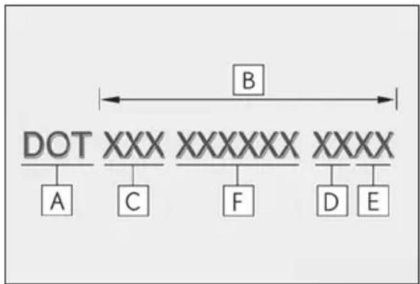 LEXUS RC F (2024) - Typical DOT and Tire Identification Number (TIN) - 2