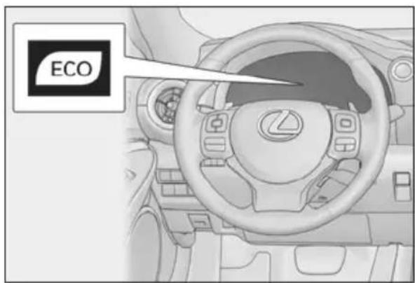 ECO