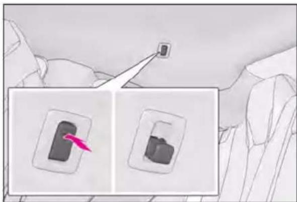LEXUS RC F (2024) - Coat hooks - 1