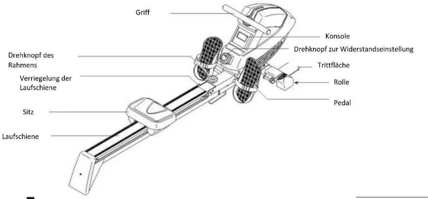 Griff Drehknopf des Rahmens Verriegelung der Laufschiene Sitz Laufschiene Konsole Drehknopf zur Widerstandseinstellung Trittfläche Rolle Pedal