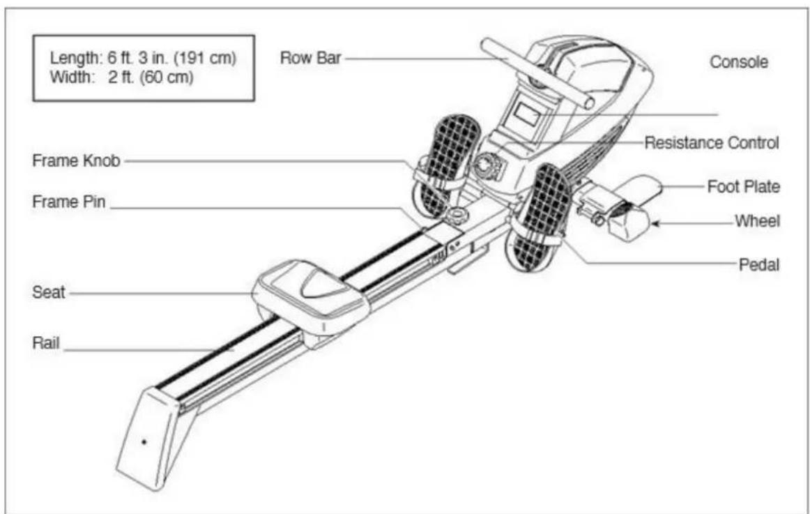 Length: 6 ft. 3 in. (191 cm) Width: 2 ft. (60 cm) Row Bar Console Resistance Control Frame Knob Foot Plate Frame Pin Wheel Pedal Seat Rail
