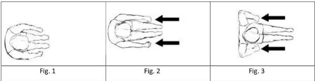 HMS Premium ZM1901 - Basic rowing stroke - 1