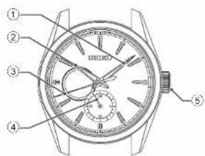 Technical diagram of a wristwatch with numbered parts for identification