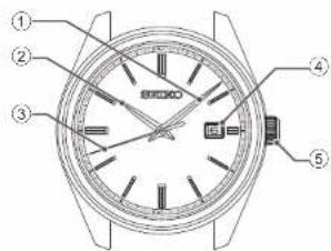 Technical diagram of a wristwatch with numbered parts for identification