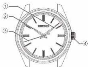 Technical diagram of a wristwatch with numbered parts for identification