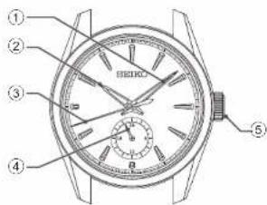 Technical diagram of a wristwatch with numbered parts for identification