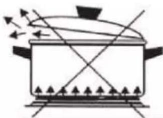 EAS Electric EFG555X - 6) Use of the electric stove part - 6