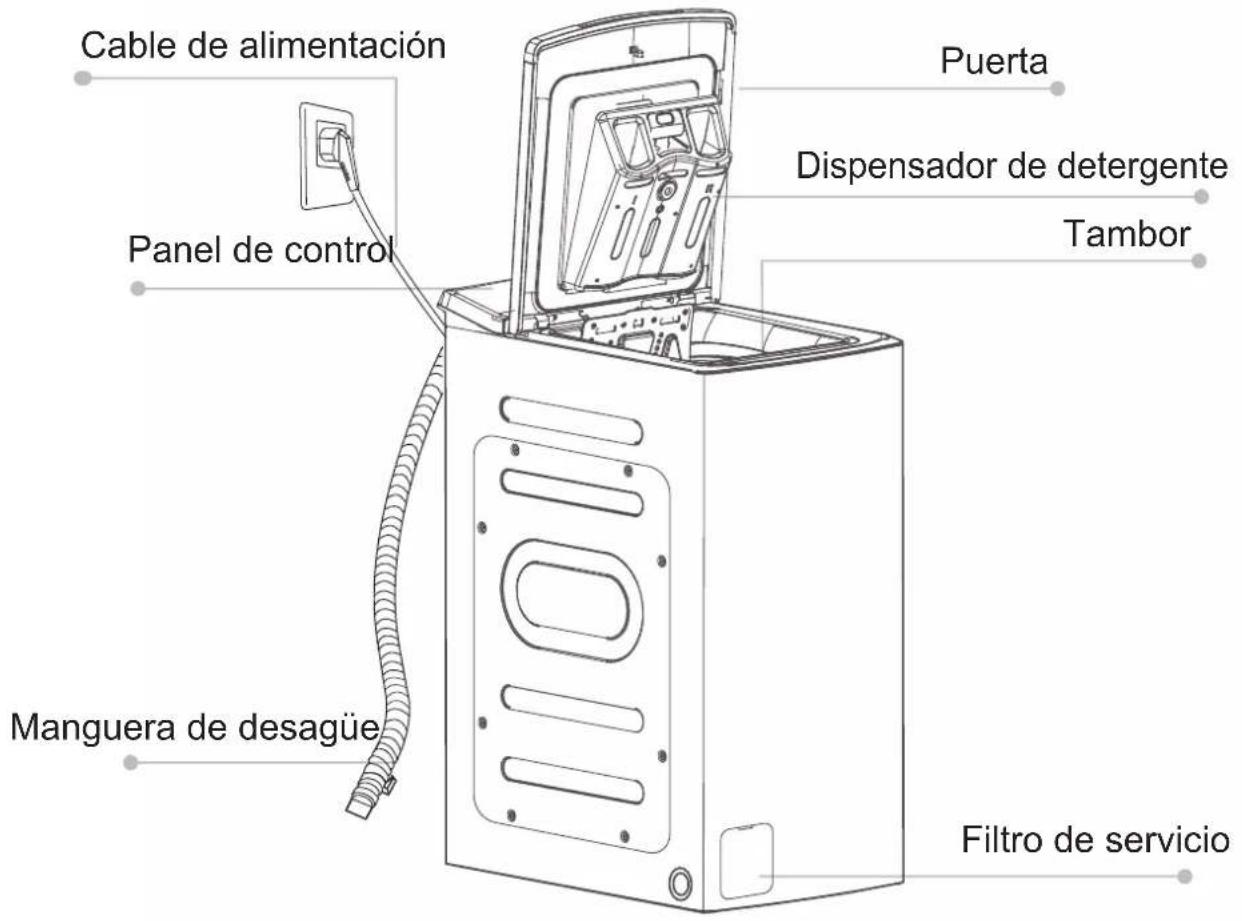 Cable de alimentación Panel de control Manguera de desagüe Puerta Dispensador de detergente Tambor Filtro de servicio