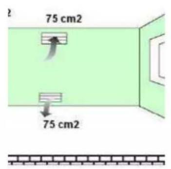 75 cm2 75 cm2