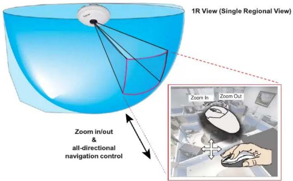 1R View (Single Regional View) Zoom In/ou & all-directional navigation control Zoom Out