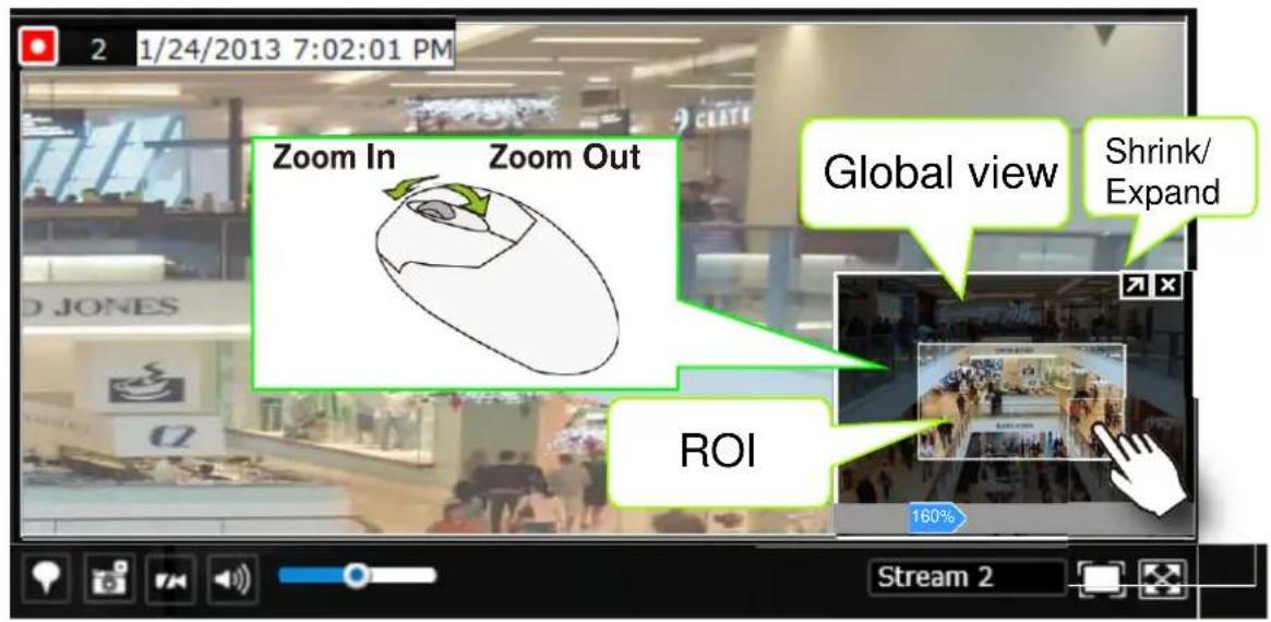 Zoom In Zoom Out Global view Shrink/ Expand ROI 160% Stream 2 2 1/24/2013 7:02:01 PM