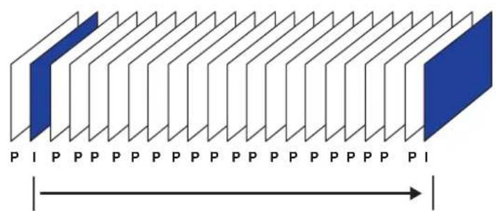 P I P P P P P P P P P P P P P P P P P P P P P P P I P I P I P I P I P I P I P I P I P I P I P I P I P I P I P I P I P I P I P I P I P I P I P I P I P I P I P I P I P I P I P I P I P I