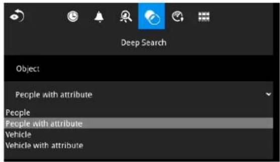 Deep Search Object People with attribute People People with attribute Vehicle Vehicle with attribute