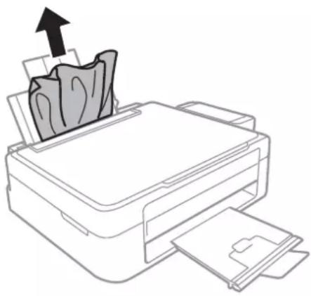 EPSON L366 - Removing Jammed Paper from the Rear Paper Feed - 1