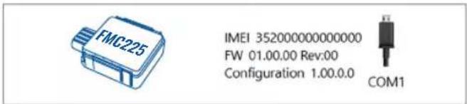 IMEI 35200000000000 FW 01.00.00 Rev:00 Configuration 1.00.0.0 COM1
