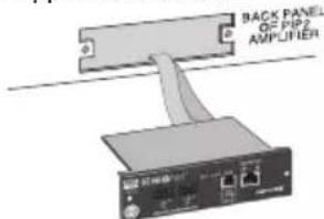 BACK PANEL OF PIP2 AMPLIFIER