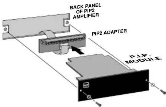 BACK PANEL OF PIP2 AMPLIFIER PIP2 ADAPTER P.I.P. MODULE