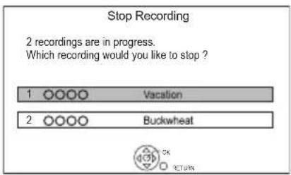 Stop Recording 2 recordings are in progress. Which recording would you like to stop ? 1 ○○○○ Vacation 2 ○○○○ Buckwheat OK RETURN