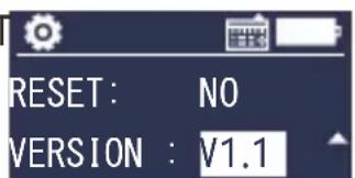 RESET: NO VERSION : V1.1