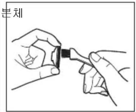 본체