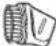 PANASONIC MC-CG525 - Gebogenes Rohr - 12