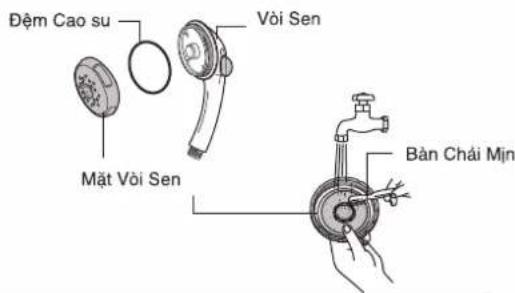 Dệm Cao su Voi Sen Mặt Voi Sen Bản Chái Mịn