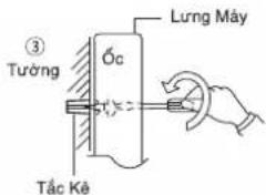 ③ Tường Óc Lung Mây Tắc Kê