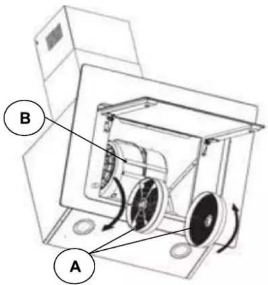 A B