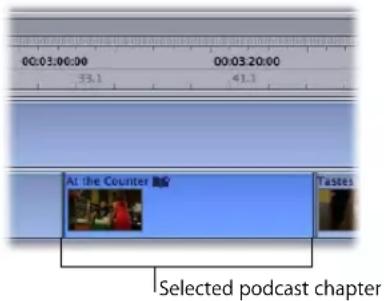 00:03:00:00 33.1 00:03:20:00 41.1 At the Counter Tastes Selected podcast chapter
