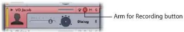 VO Jacob Arm for Recording button Dialog