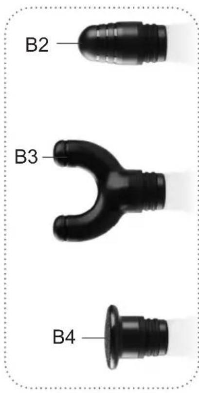 B2 B3 B4