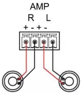 AMP R L + - + -