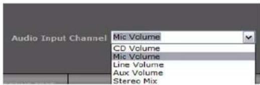 Audio Input Channel Mic Volume CD Volume Mic Volume Line Volume Aux Volume Stereo Mix