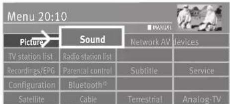 Menu 20:10 Picture Sound Network AV TV station list Radio station list Recordings/EPG Parental control Configuration Bluetooth® Satellite Cable Subtitle Service Terrestrial Analog-TV