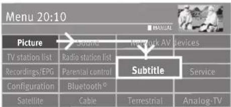 Menu 20:10 Picture Sound Network AV TV station list Radio station list Recordings/EPG Parental control Configuration Bluetooth® Satellite Cable Terrestrial Subtitle MANUAL Services Service Analog-TV