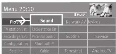 Menu 20:10 Picture Sound MANUAL Network AV devices TV station list Radio station list Recordings/EPG Parental control Sublitie Service Configuration Bluetooth Satellite Cable Terrestrial Analog-TV