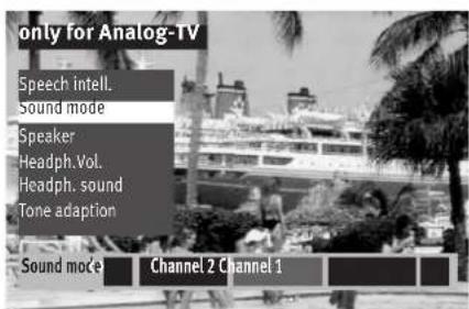 Only for Analog-TV Speech intell. Sound mode Speaker Headph.Vol. Headph. sound Tone adaption Sound mode Channel 2 Channel 1