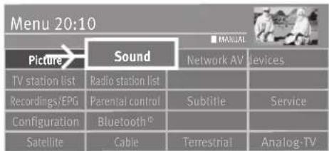 Menu 20:10 Picture→ Sound TV station list Recordings/EPG Configuration Satellite Sound Network AV Subtitle Bluetooth® Cable Terrestrial MANUAL Devices Service Analog-TV