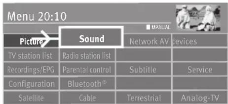 Menu 20:10 Picture Sound Network AV Devices TV station list Radio station list Recordings/EPG Parential control Subtitle Service Configuration Bluetooth® Satellite Cable Terrestrial Analog-TV