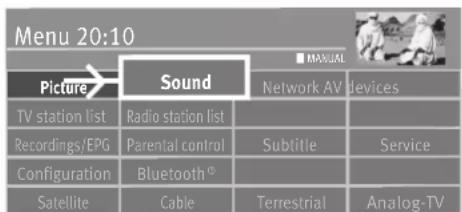 Menu 20:10 Picture→ Sound TV station list Recordings/EPG Configuration Satellite Sound Network AV devices Radio station list Parental control Bluetooth® Cable Subtitle Service Terrestrial Analog-TV