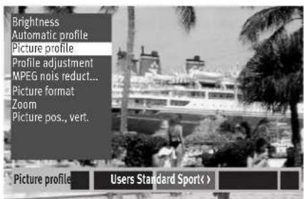Brightness Automatic profile Picture profile Profile adjustment MPEG nois reduct... Picture format Zoom Picture pos., vert. Picture profile Users Standard Sport