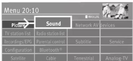 Menu 20:10 Picture Sound Network AV devices TV station list Radio station list Recordings/EPG Parental control Subtitle Service Configuration Bluetooth® Satellite Cable Terrestrial Analog-TV