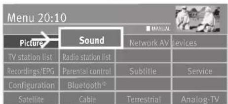 Menu 20:10 Picture Sound MANUAL TV station list Radio station list Recordings/EPG Parental control Subtitle Service Configuration Bluetooth® Satellite Cable Terrestrial Analog-TV