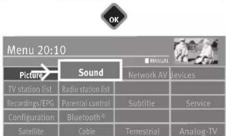 OK Menu 20:10 Picture Sound MANUAL Network AV devices TV station list Radio station list Recordings/EPG Parental control Configuration Bluetooth® Satellite Cable Subtitle Service Terrestrial Analog-TV