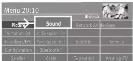 Menu 20:10 Picture Sound MANUAL Network AV devices TV station list Radio station list Recordings/EPG Parental control Subtitle Service Configuration Bluetooth® Satellite Cable Terrestrial Analog-TV